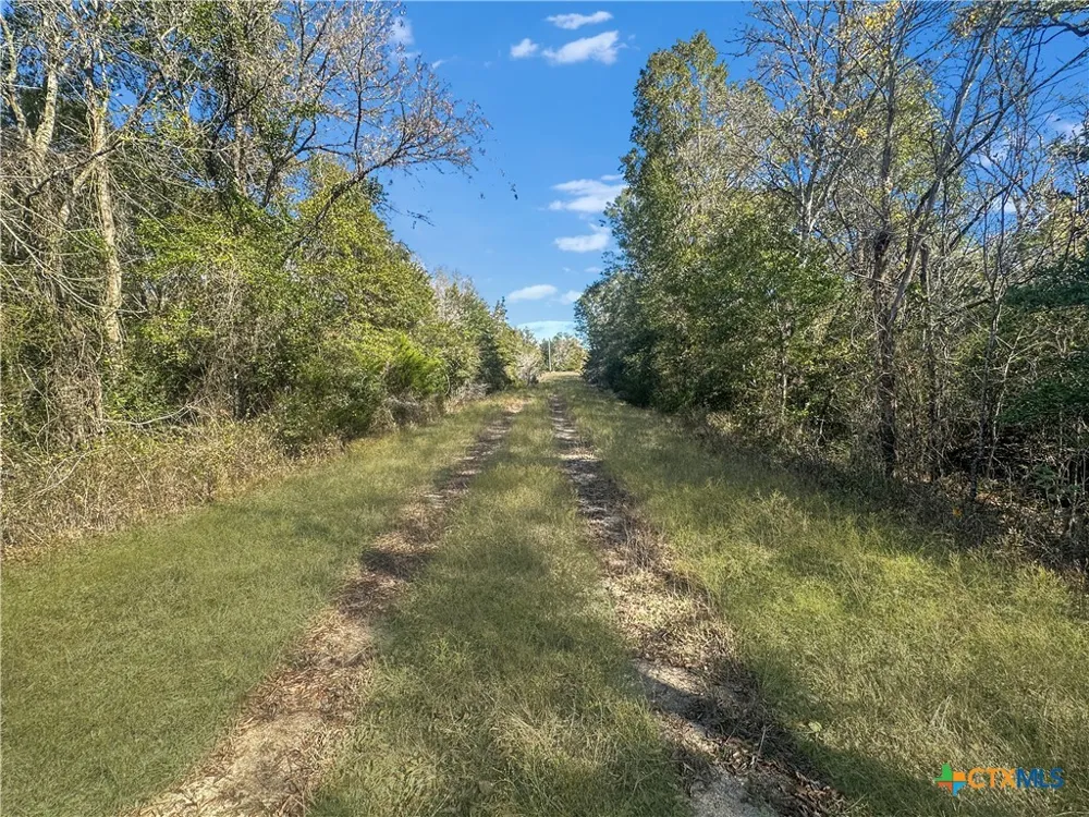 2845 Boehnke Road Flatonia, TX 78949