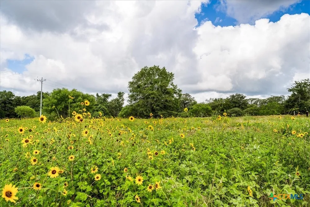 2845 Boehnke Road Flatonia, TX 78949