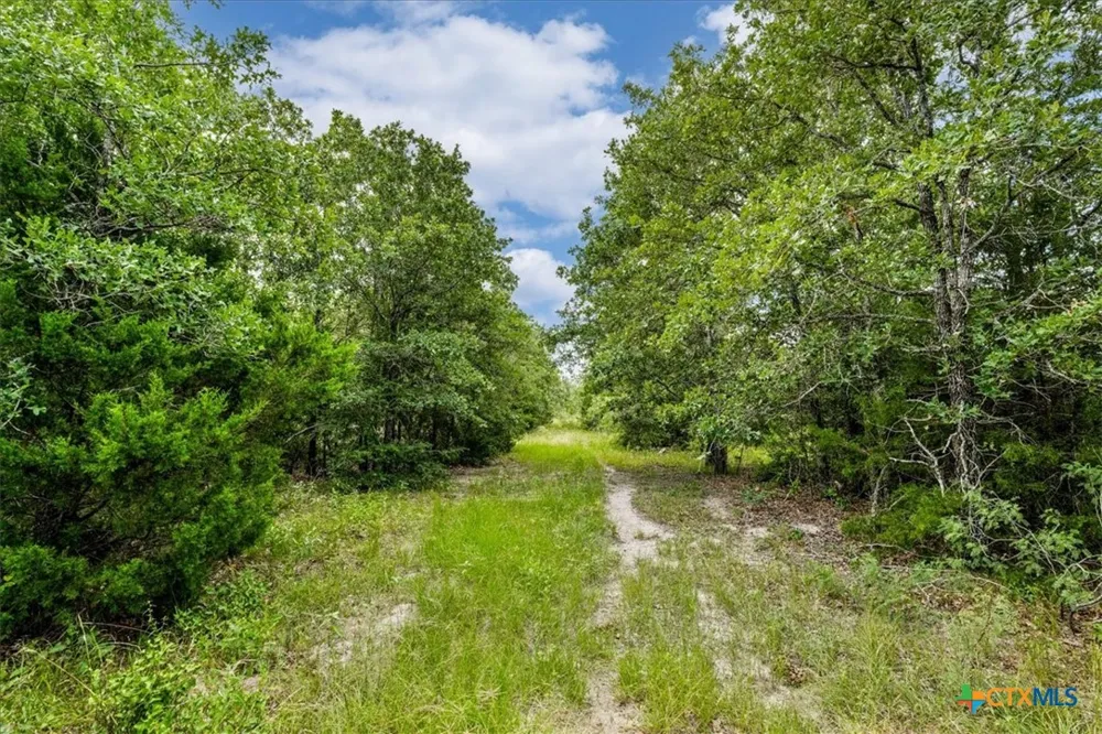 2845 Boehnke Road Flatonia, TX 78949