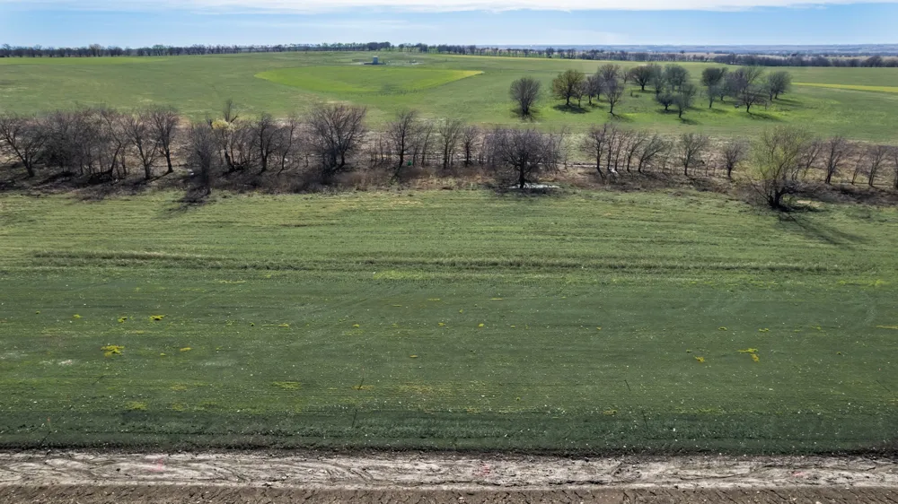 BOIS D'ARC LANE Ponder, TX 76259