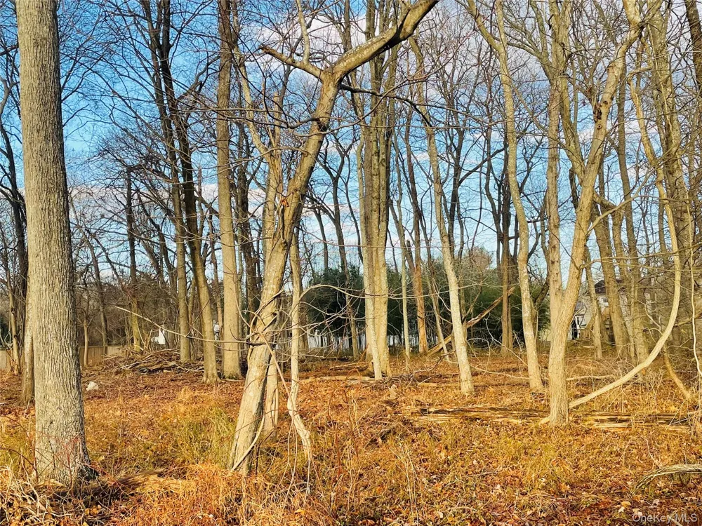VL Daniel Lane Middle Island, NY 11953