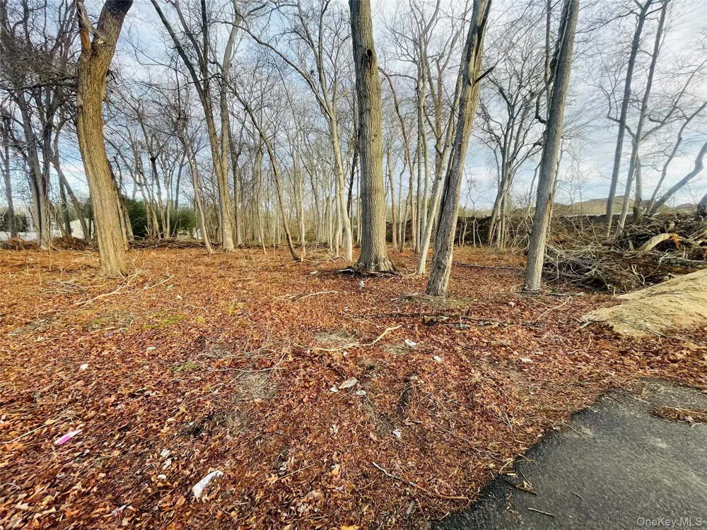 VL Daniel Lane Middle Island, NY 11953
