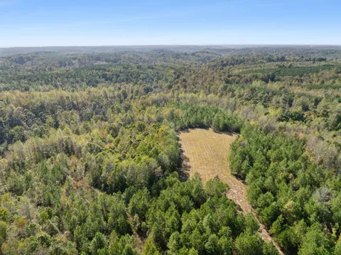 0 Cox Hollow