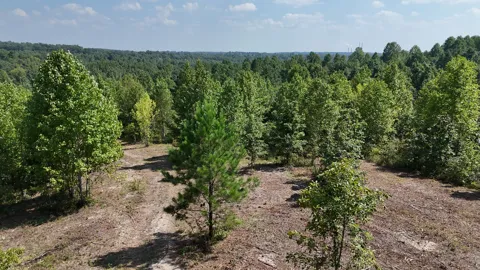 0 Freedom Ridge
