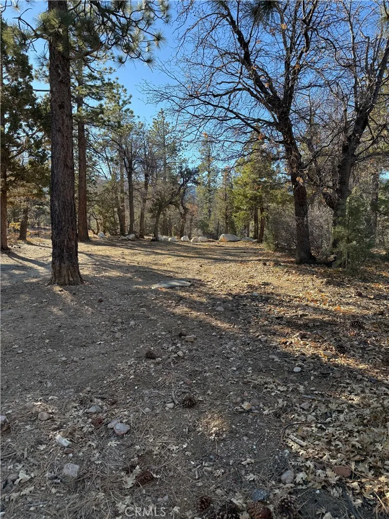 San Bernardino Sugarloaf, CA 92386