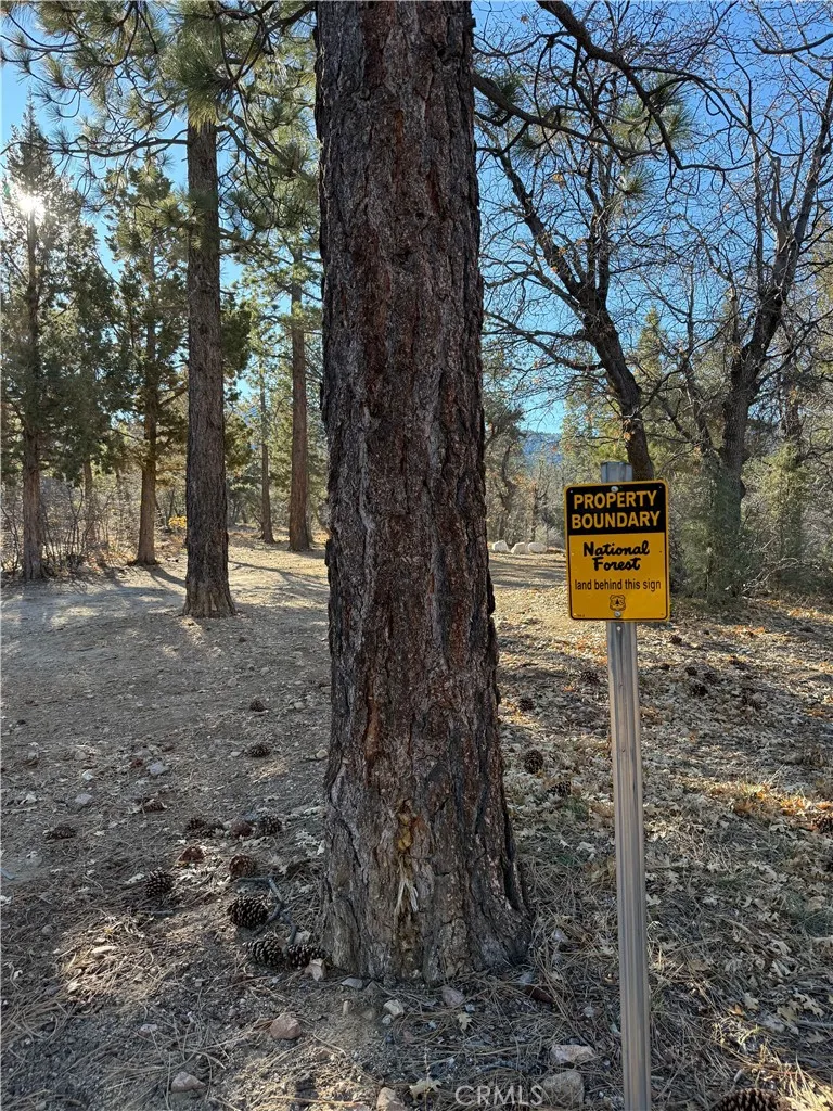 San Bernardino Sugarloaf, CA 92386