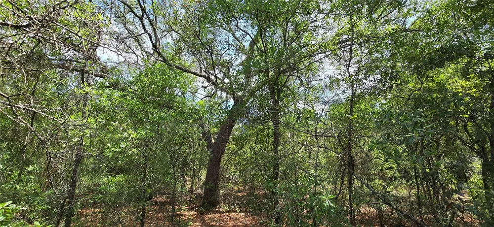 Lot 18 Unit 1 Blk 6 FUSION CIRCLE Chipley, FL 32428