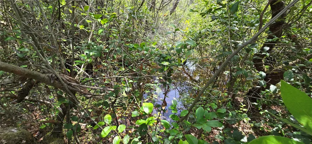 Lot 18 Unit 1 Blk 6 FUSION CIRCLE Chipley, FL 32428