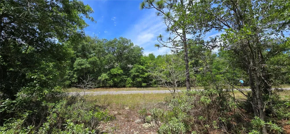 Lot 18 Unit 1 Blk 6 FUSION CIRCLE Chipley, FL 32428