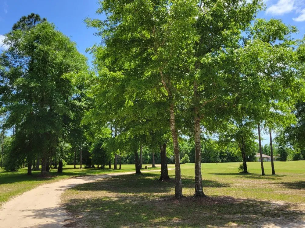 Lot 18 Unit 1 Blk 6 FUSION CIRCLE Chipley, FL 32428