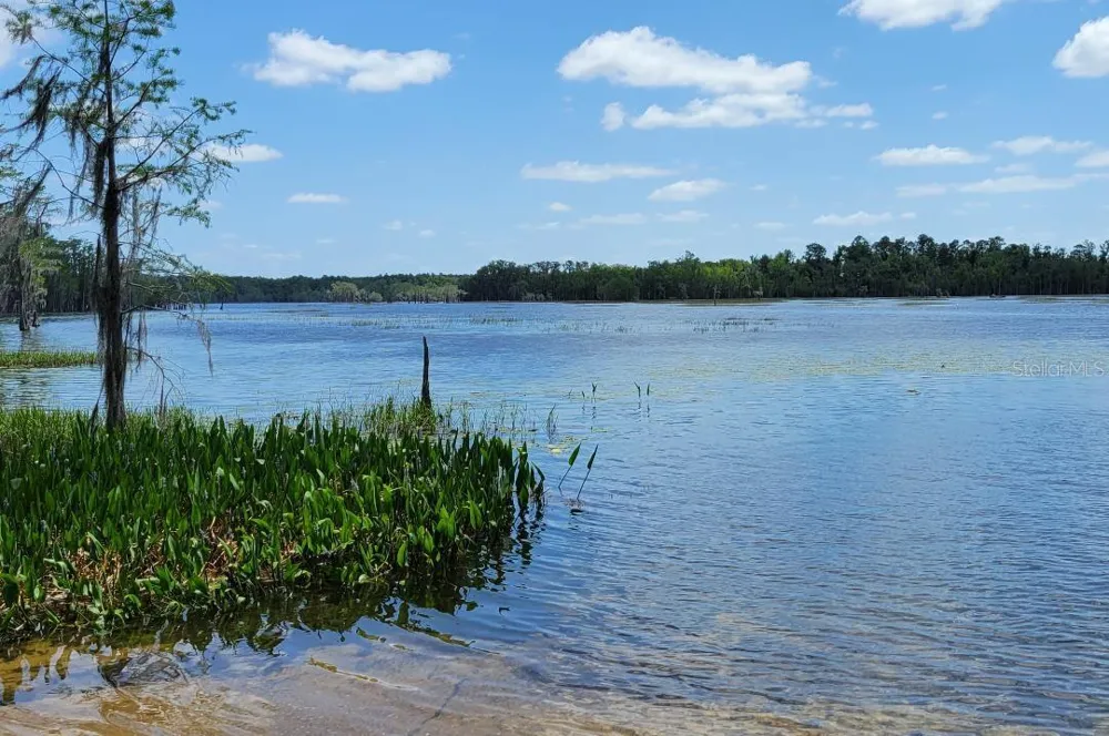Lot 18 Unit 1 Blk 6 FUSION CIRCLE Chipley, FL 32428