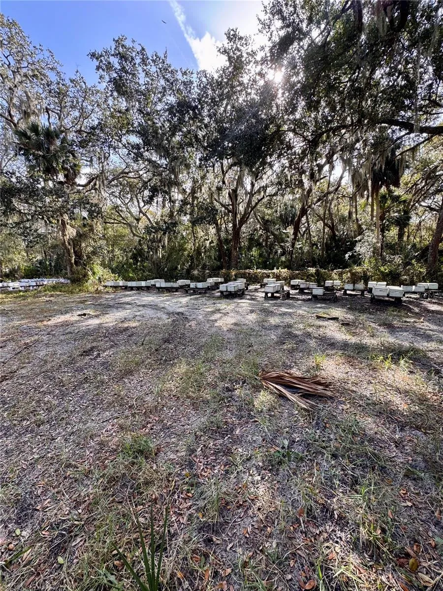 480 CLINTON CEMETERY ROAD Edgewater, FL 32141