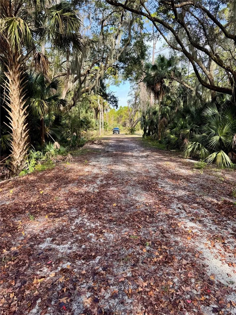 480 CLINTON CEMETERY ROAD Edgewater, FL 32141