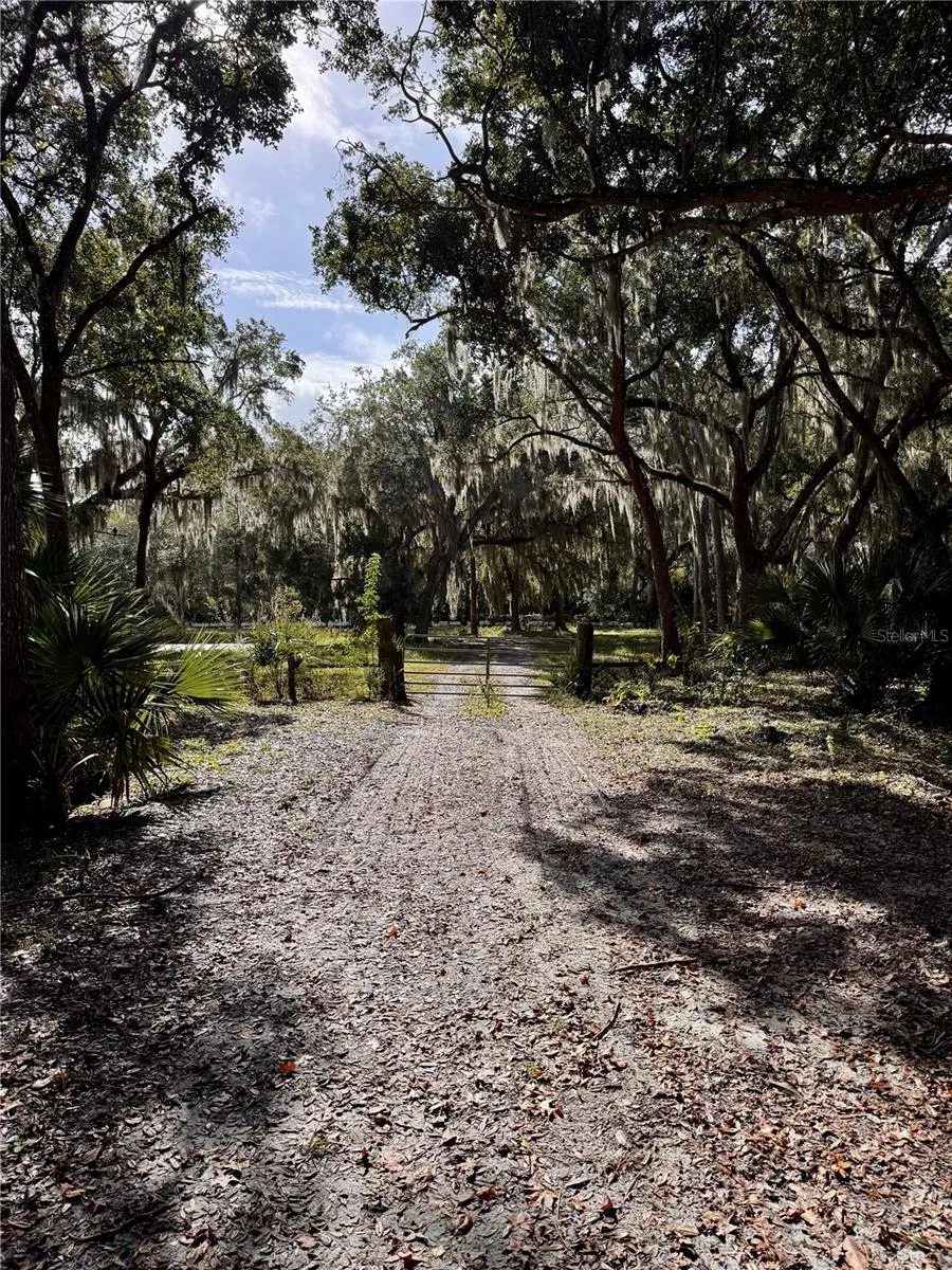480 CLINTON CEMETERY ROAD Edgewater, FL 32141