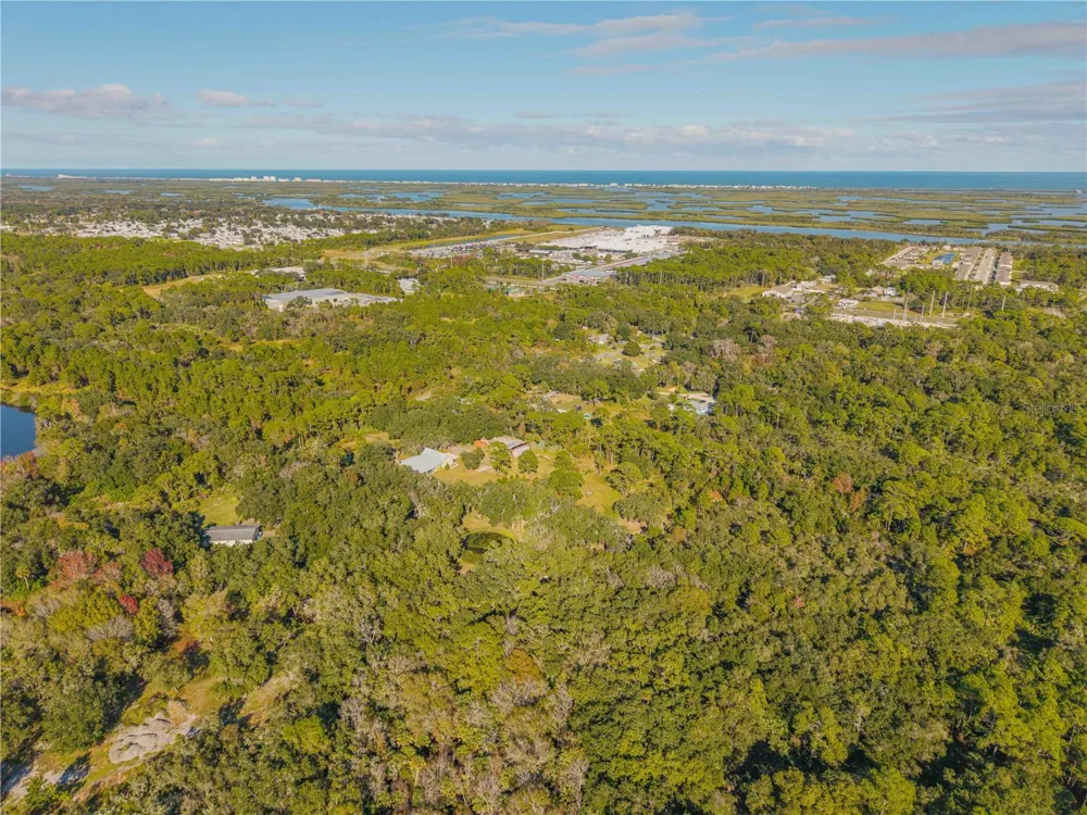 0 CLINTON CEMETERY RD. Edgewater, FL 32141