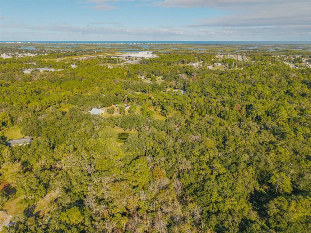 0 CLINTON CEMETERY RD. Edgewater, FL 32141