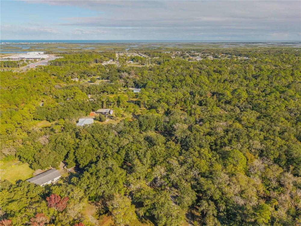 0 CLINTON CEMETERY RD. Edgewater, FL 32141