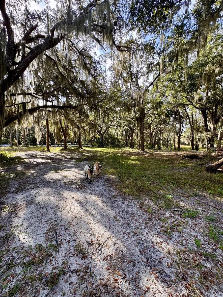0 CLINTON CEMETERY RD. Edgewater, FL 32141