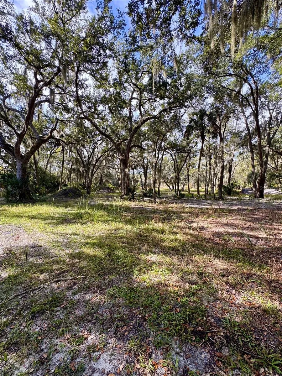0 CLINTON CEMETERY RD. Edgewater, FL 32141