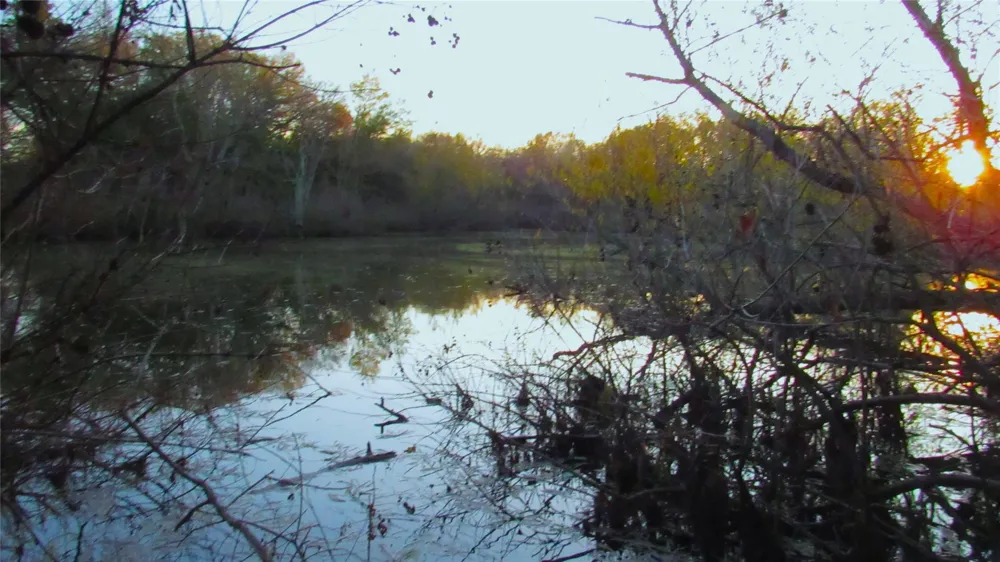 County Road 4736 Cumby, TX 75433