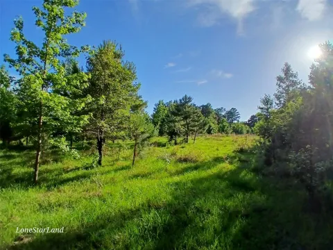 475 County Road 4421