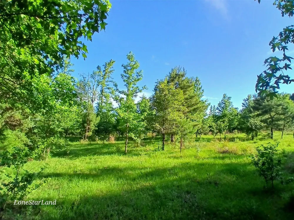 475 County Road 4421 Pittsburg, TX 75686