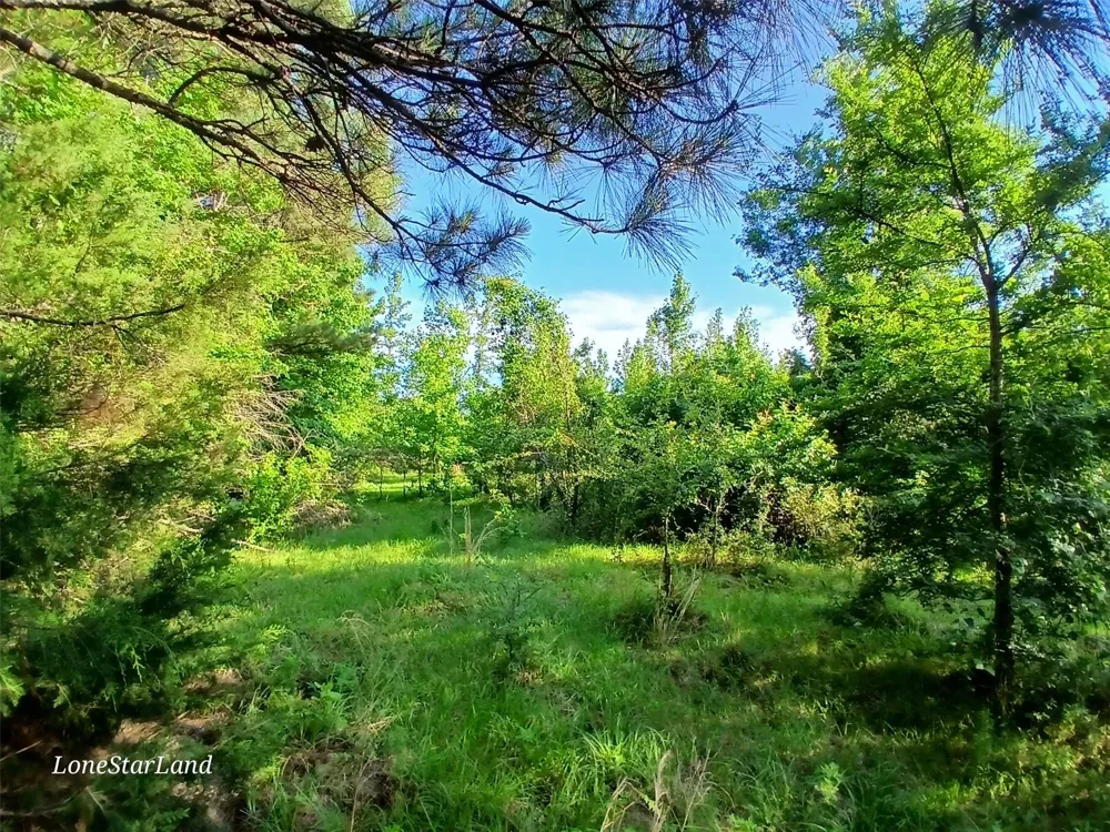 475 County Road 4421 Pittsburg, TX 75686