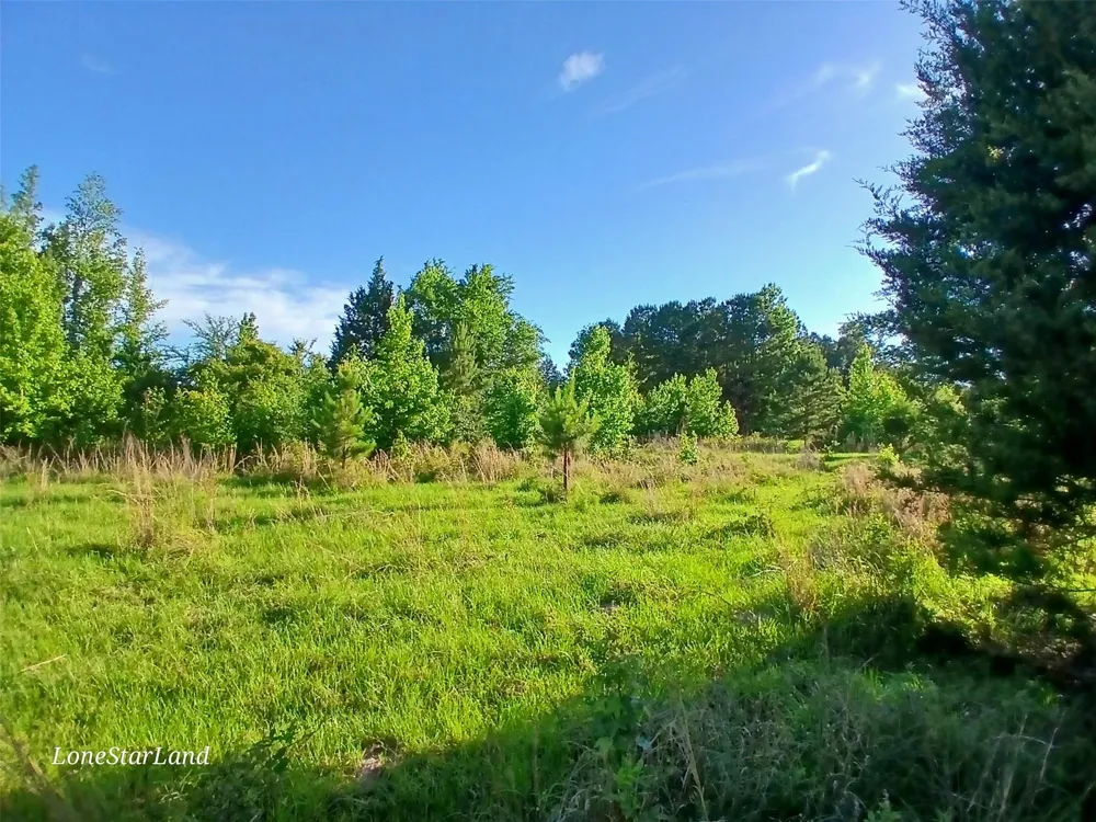 475 County Road 4421 Pittsburg, TX 75686