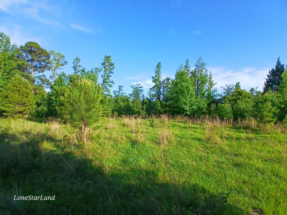 475 County Road 4421 Pittsburg, TX 75686