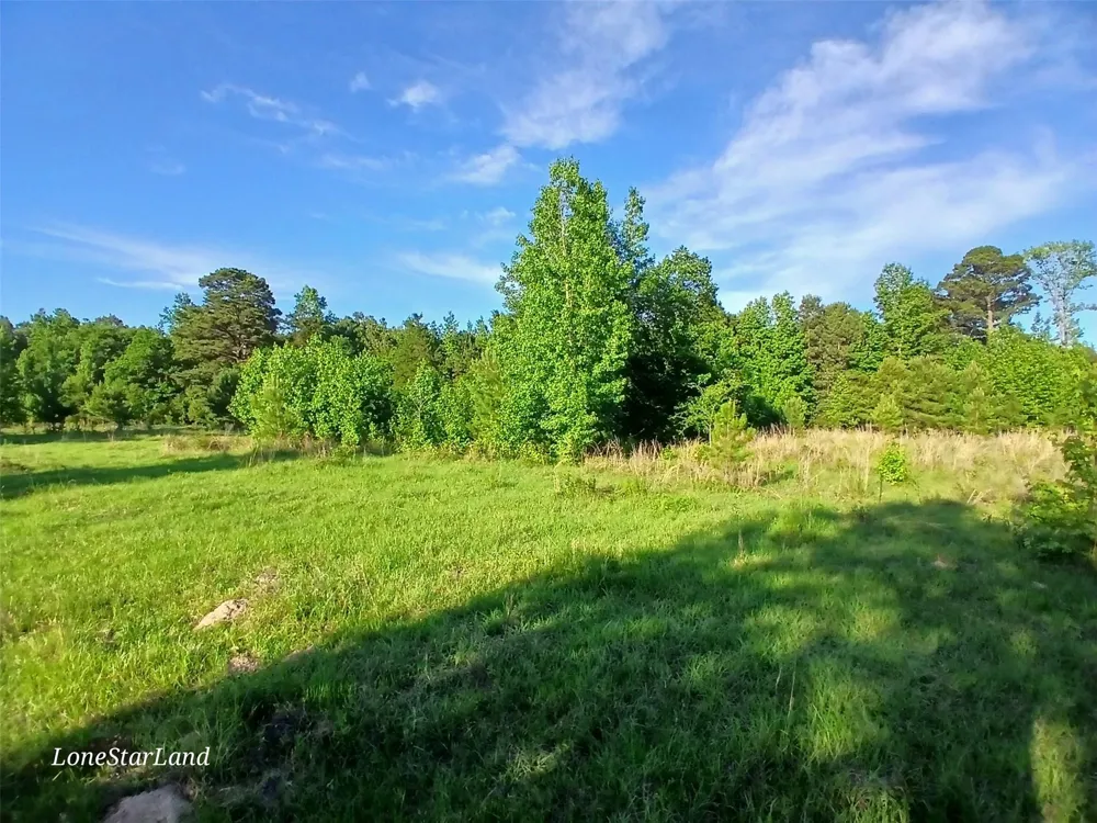 475 County Road 4421 Pittsburg, TX 75686