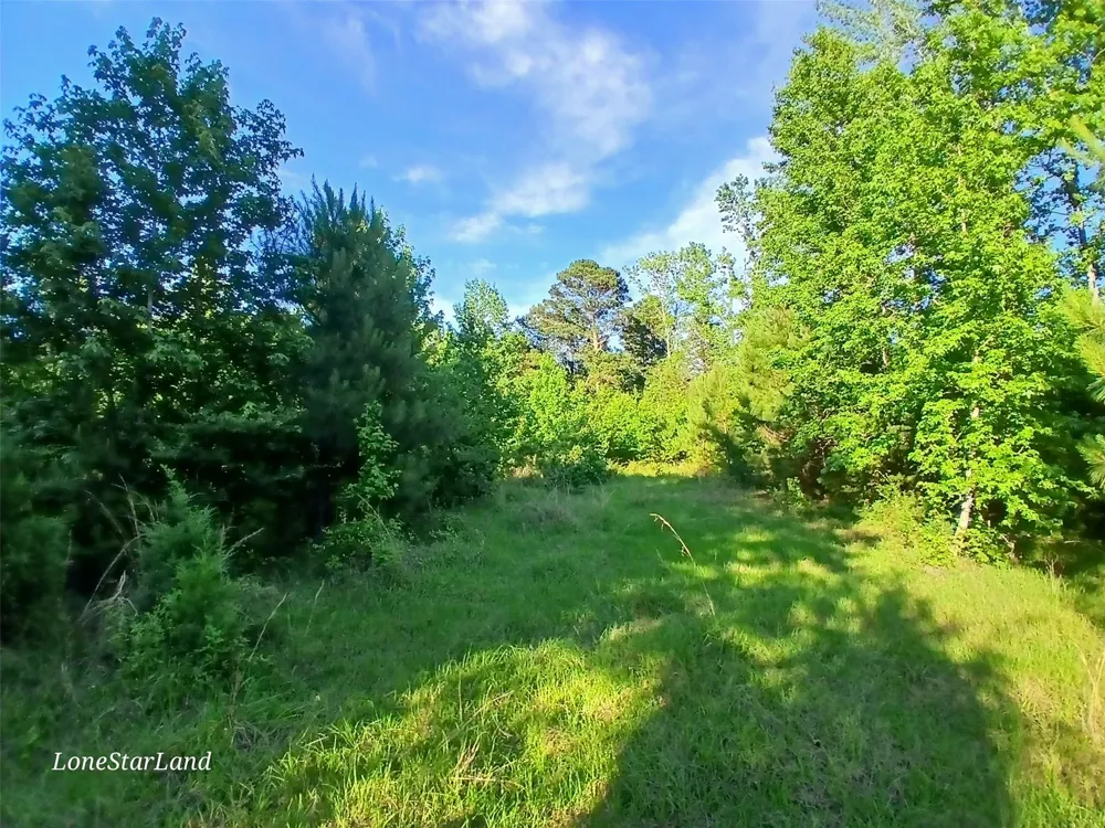 475 County Road 4421 Pittsburg, TX 75686