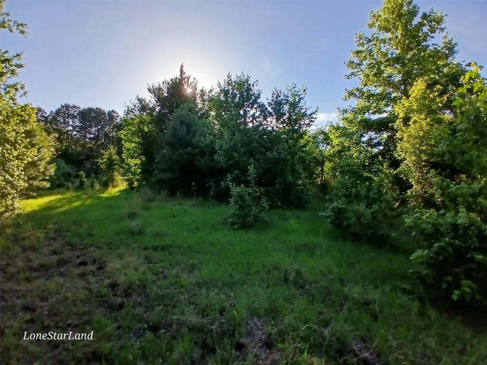 475 County Road 4421 Pittsburg, TX 75686