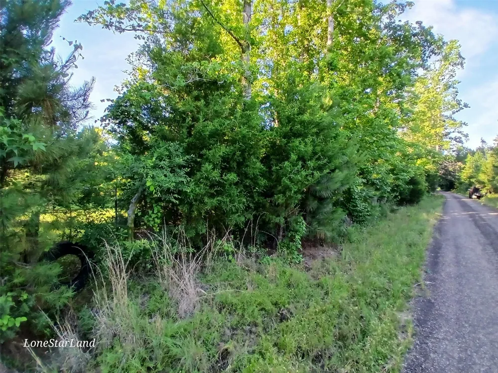 475 County Road 4421 Pittsburg, TX 75686