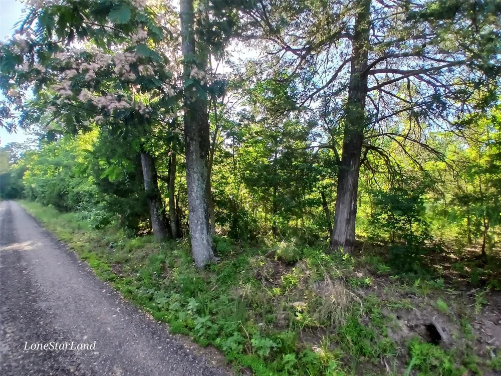 475 County Road 4421 Pittsburg, TX 75686