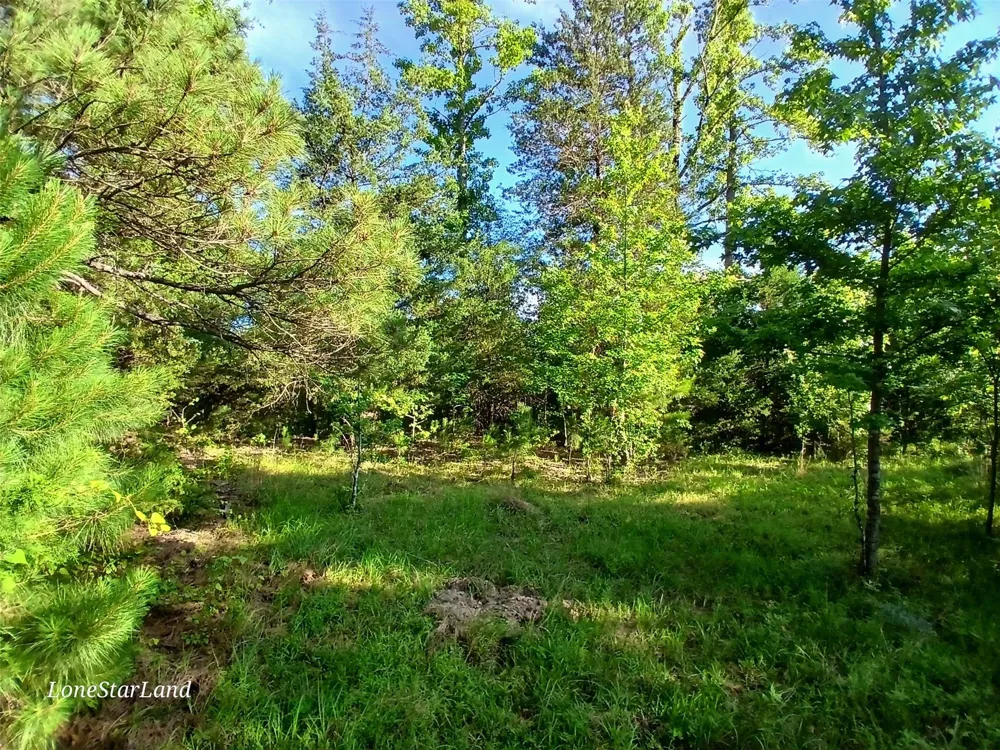 475 County Road 4421 Pittsburg, TX 75686