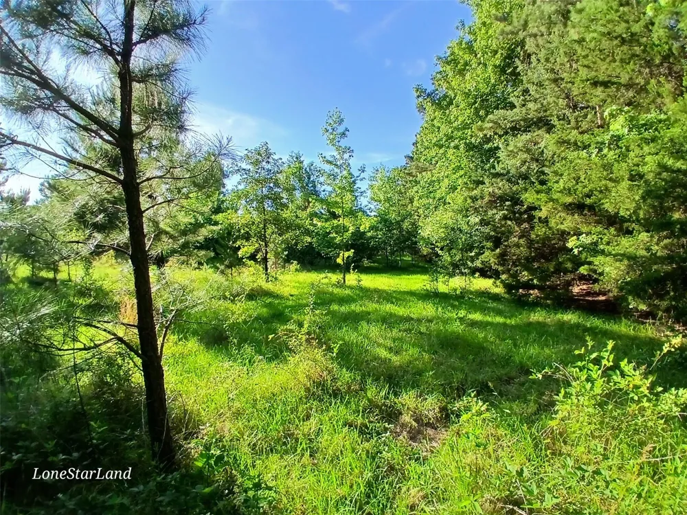475 County Road 4421 Pittsburg, TX 75686