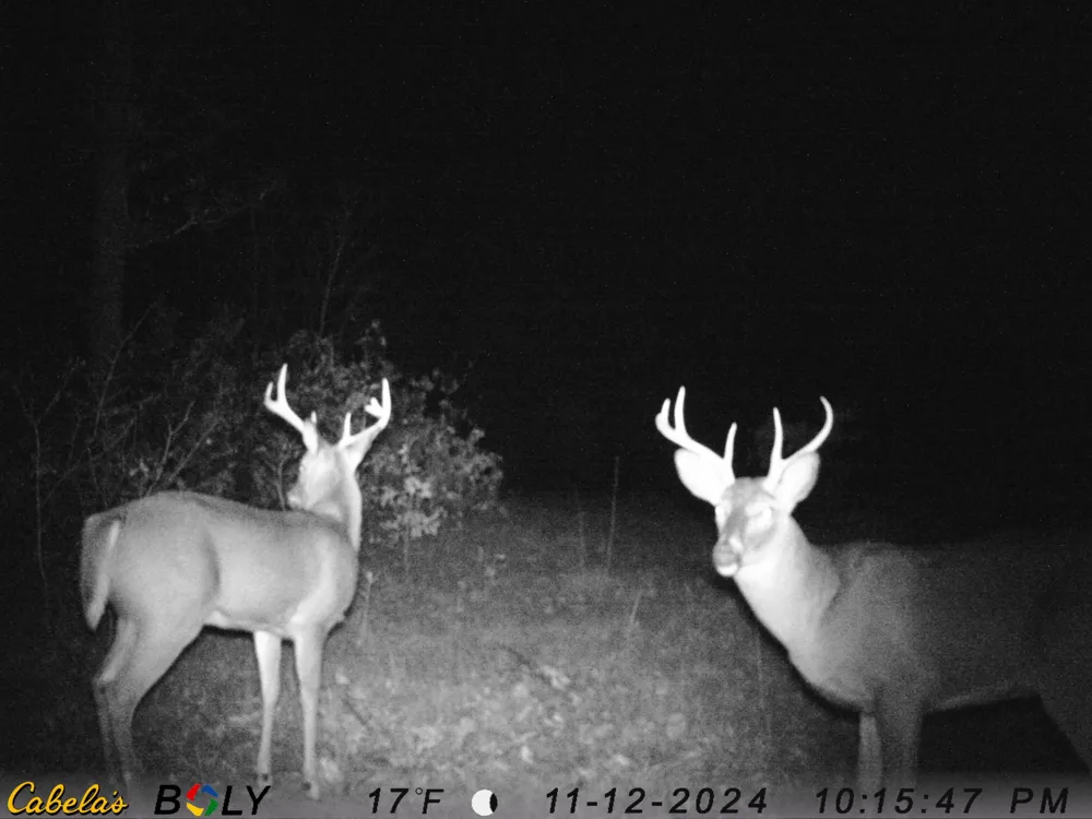 Rybicki Road Free Soil, MI 49411