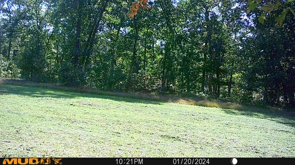 Rybicki Road Free Soil, MI 49411