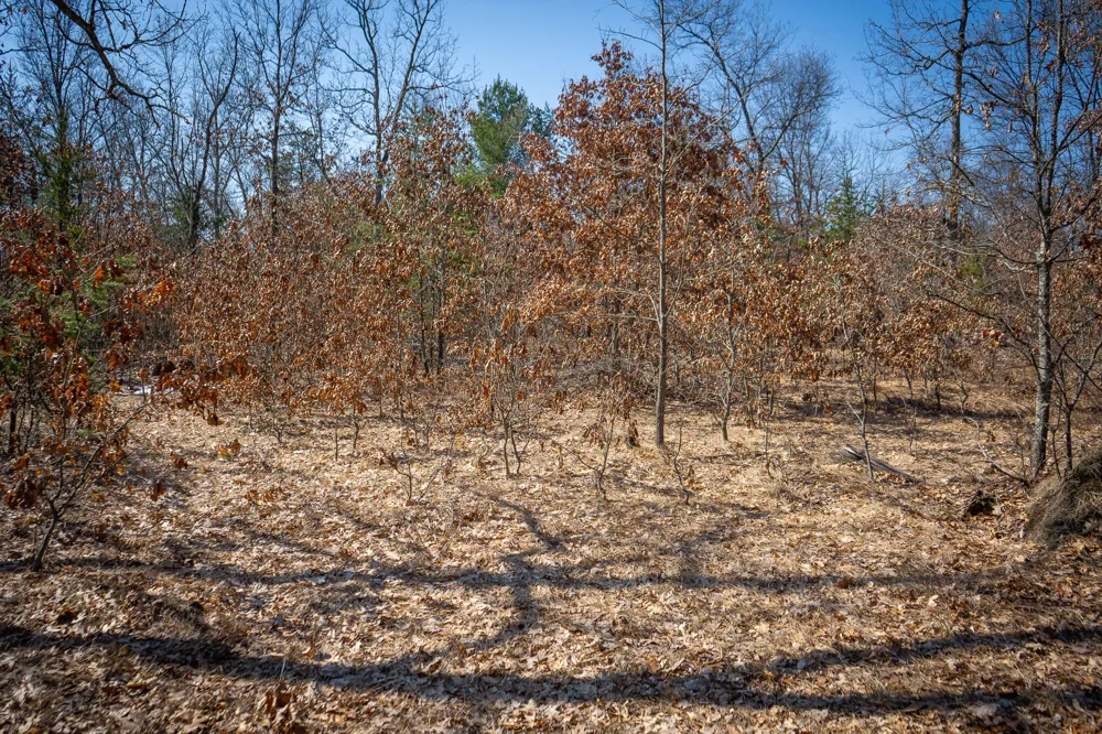 Rybicki Road Free Soil, MI 49411