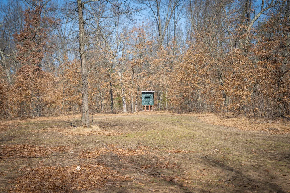 Rybicki Road Free Soil, MI 49411