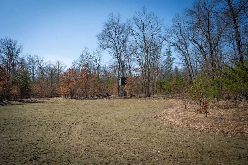 Rybicki Road Free Soil, MI 49411