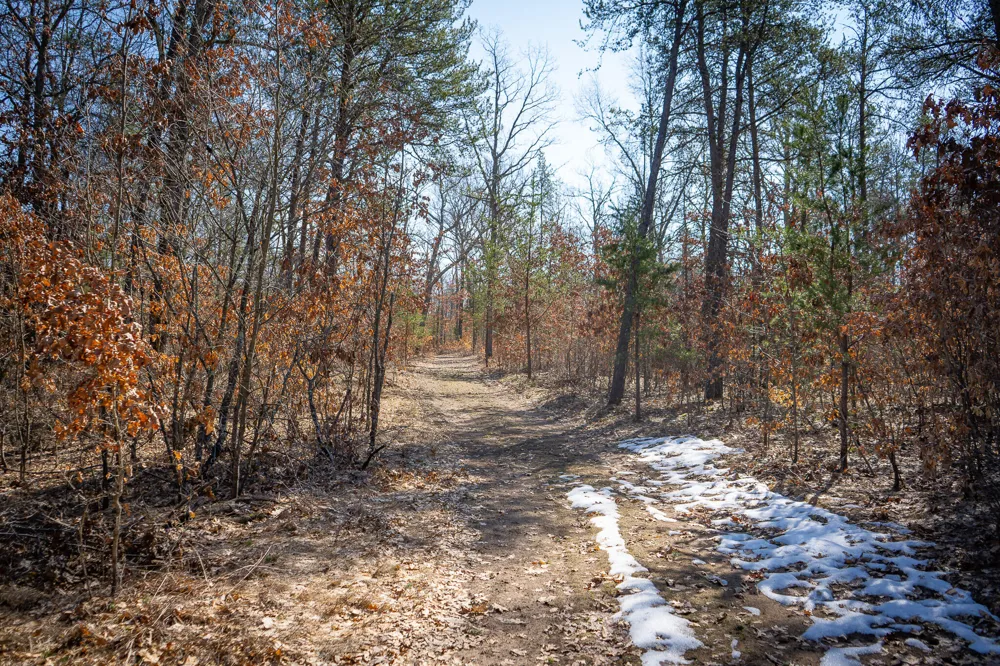 Rybicki Road Free Soil, MI 49411