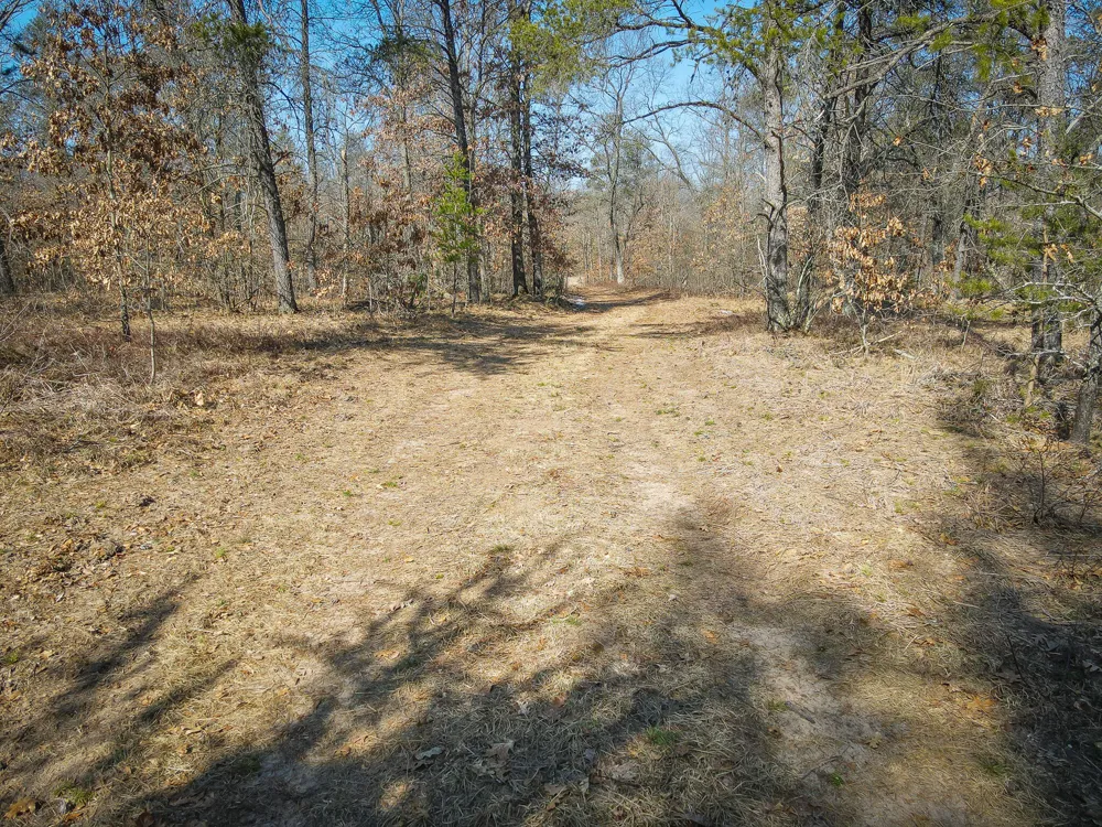 Rybicki Road Free Soil, MI 49411