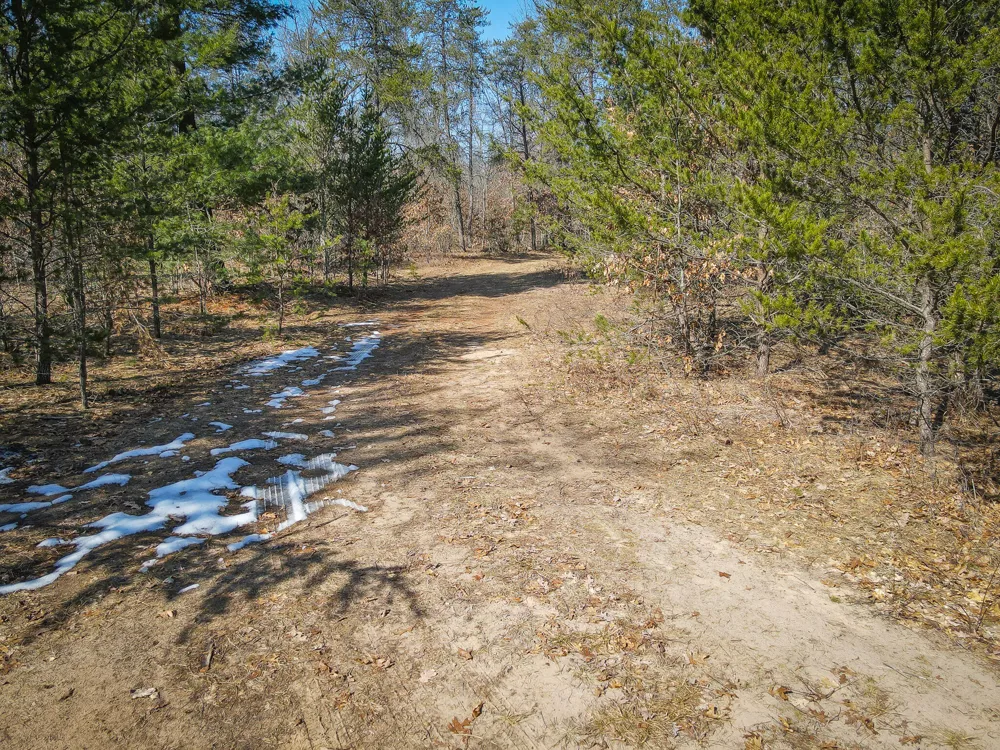 Rybicki Road Free Soil, MI 49411