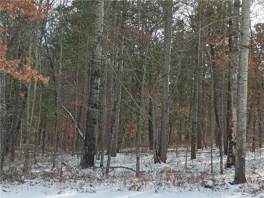 Lot 26 Deer Lodge Trail Way Danbury, WI 54830