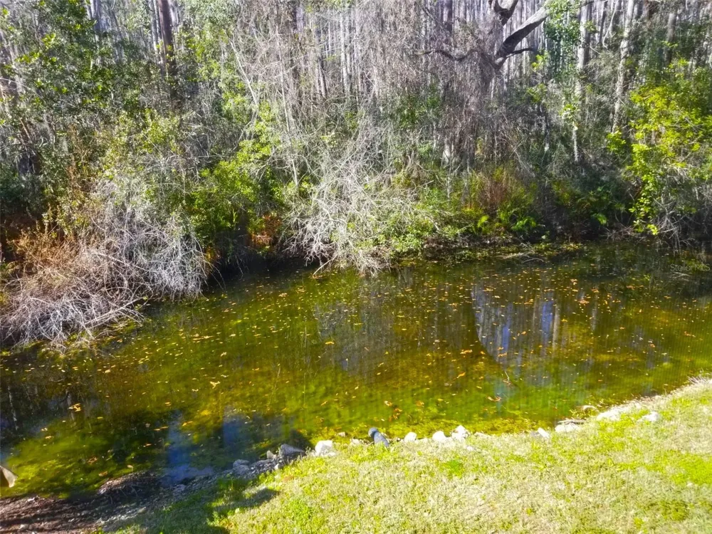 2051 VISTA DEL SOL CIRCLE #201 Lutz, FL 33558