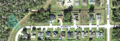 Spoonbill Court