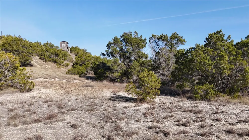 445 E Skyline Acres Wimberley, TX 78676