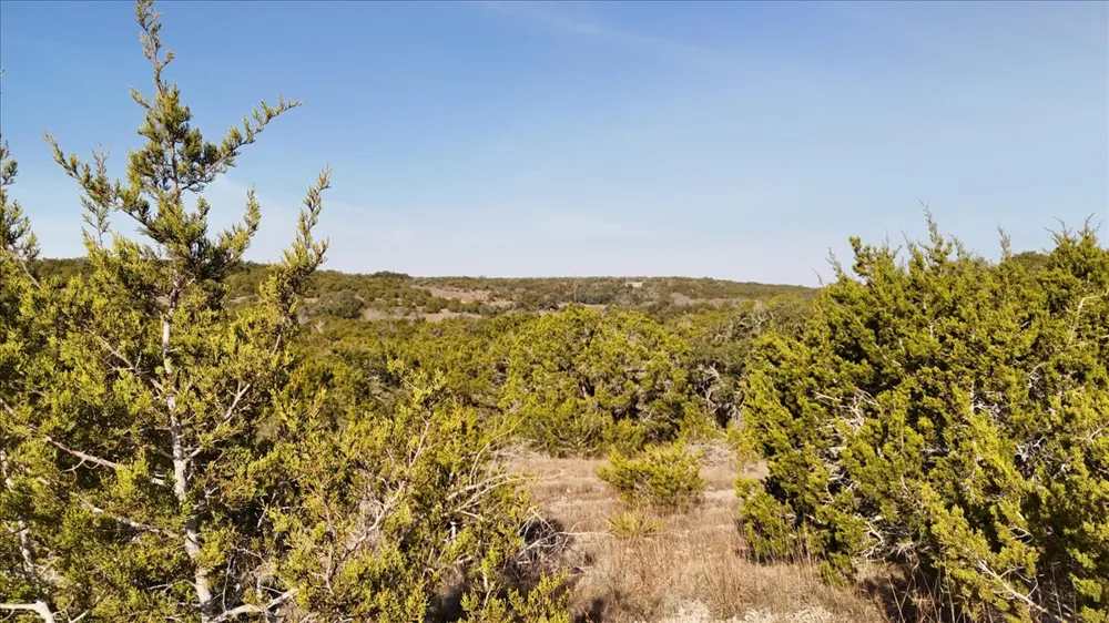 445 E Skyline Acres Wimberley, TX 78676