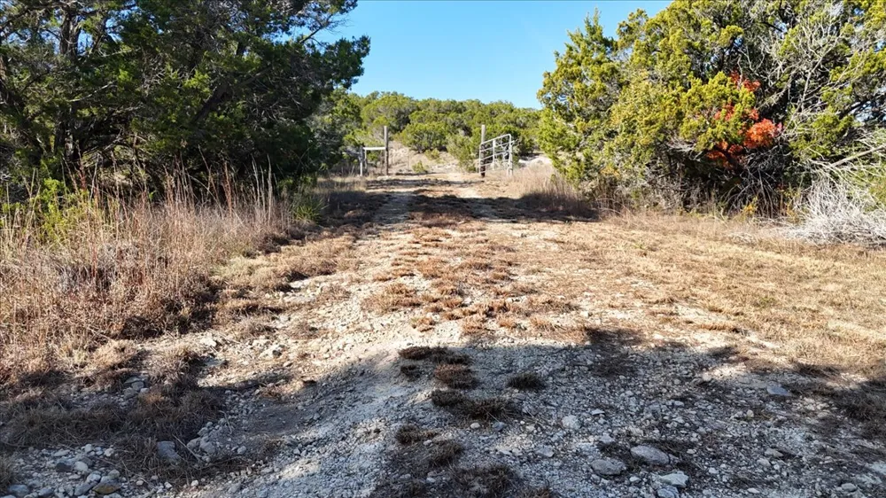 445 E Skyline Acres Wimberley, TX 78676